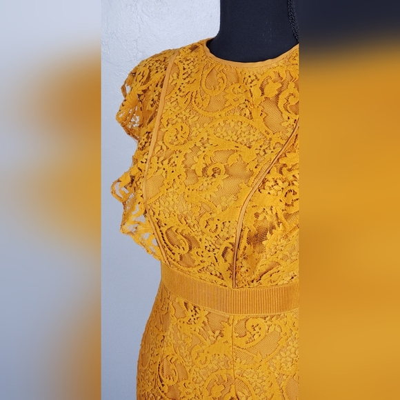 NY&Co. Dress, Eva Mendez collection, lace, size 0, color pumpkin - Picture 6 of 6